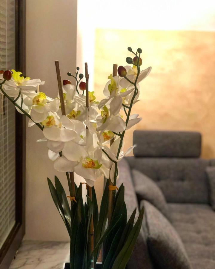 Apartment Landscape - New Modern Apartment Near Bled زغورنجي المظهر الخارجي الصورة